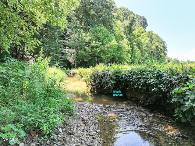 2646 Maples Branch Rd, Sevierville, TN 37876