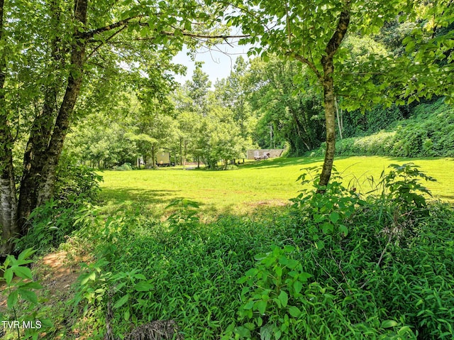 2646 Maples Branch Rd, Sevierville, TN 37876