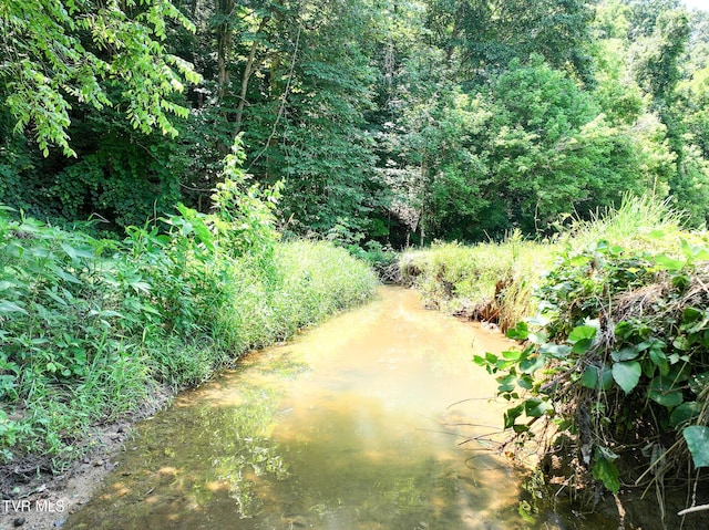 2646 Maples Branch Rd, Sevierville, TN 37876