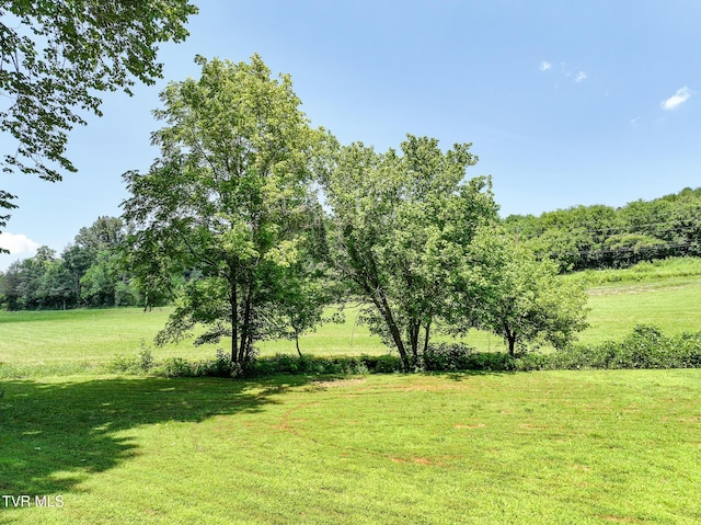 2646 Maples Branch Rd, Sevierville, TN 37876
