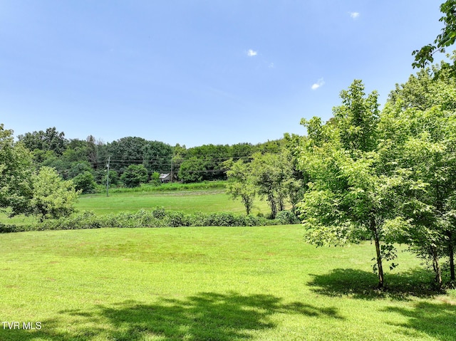 2646 Maples Branch Rd, Sevierville, TN 37876