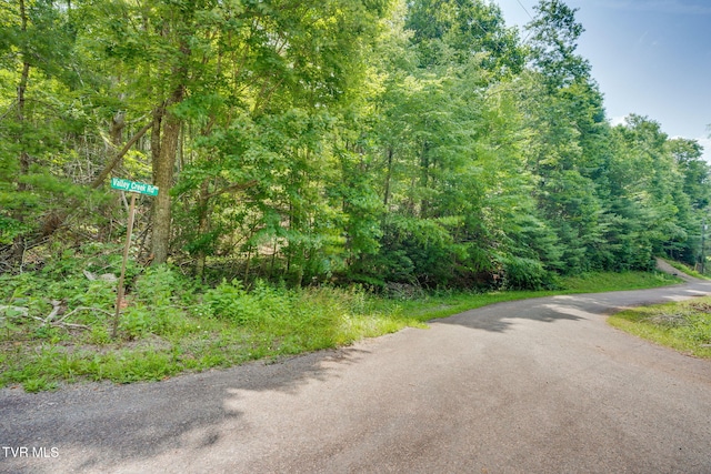 Tbd Preserve Way, Mountain City, TN 37683