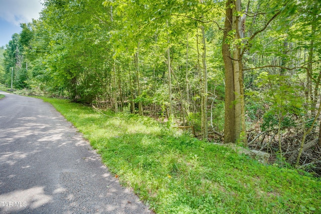 Tbd Preserve Way, Mountain City, TN 37683