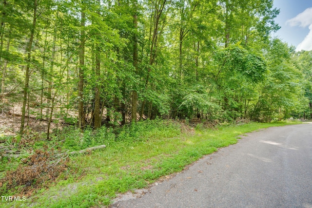 Tbd Preserve Way, Mountain City, TN 37683