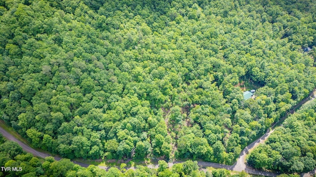 Tbd Preserve Way, Mountain City, TN 37683