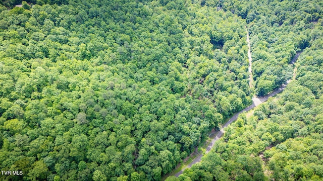 Tbd Preserve Way, Mountain City, TN 37683