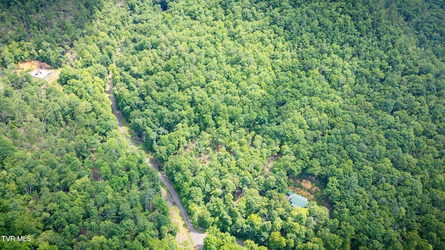 Tbd Preserve Way, Mountain City, TN 37683