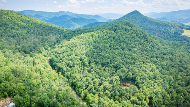 Tbd Preserve Way, Mountain City, TN 37683