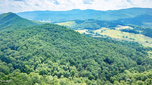 Tbd Preserve Way, Mountain City, TN 37683