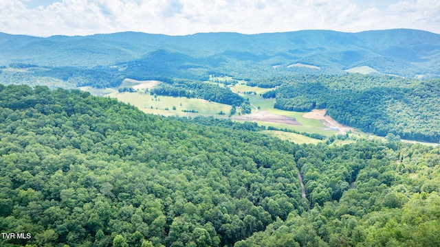 Tbd Preserve Way, Mountain City, TN 37683