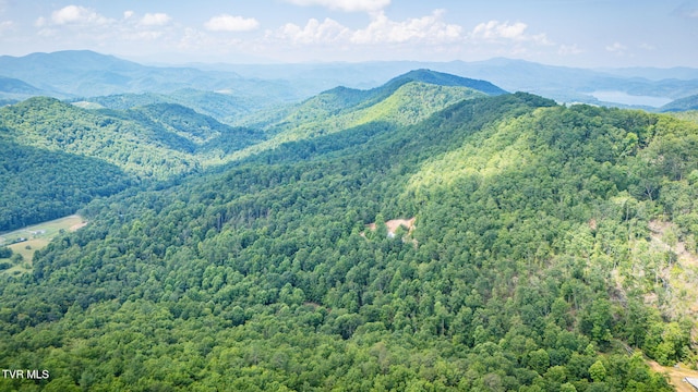 Tbd Preserve Way, Mountain City, TN 37683