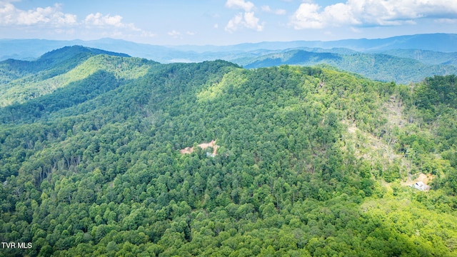 Tbd Preserve Way, Mountain City, TN 37683