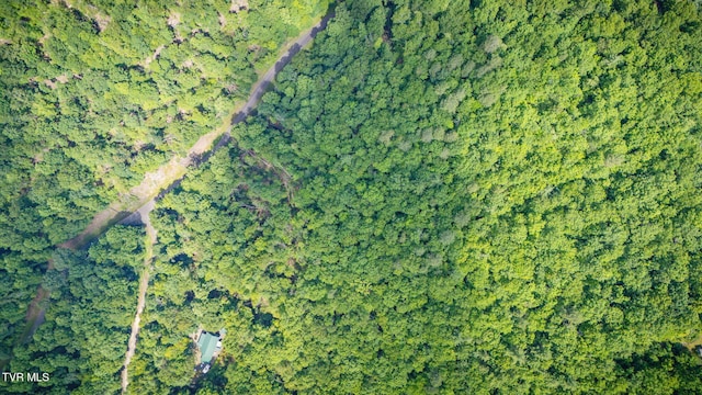 Tbd Preserve Way, Mountain City, TN 37683
