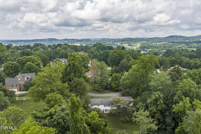 2 Longview Ln, Kingsport, TN 37660 - drone / aerial view