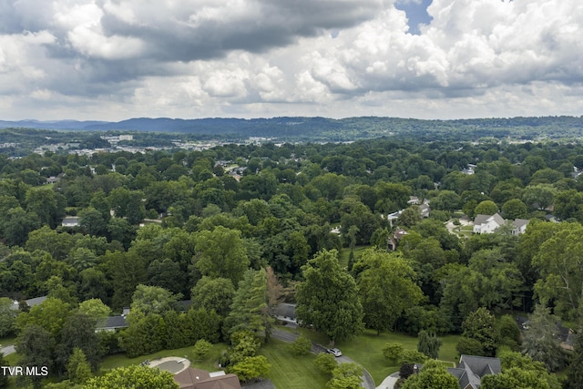 2 Longview Ln, Kingsport, TN 37660 - drone / aerial view of a forest