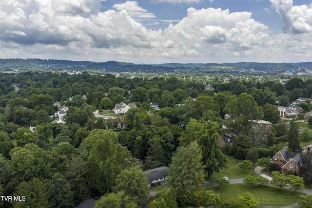 2 Longview Ln, Kingsport, TN 37660 - bird's eye view of a heavily wooded area