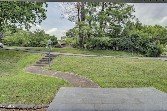 2 Longview Ln, Kingsport, TN 37660 - view of grassy yard