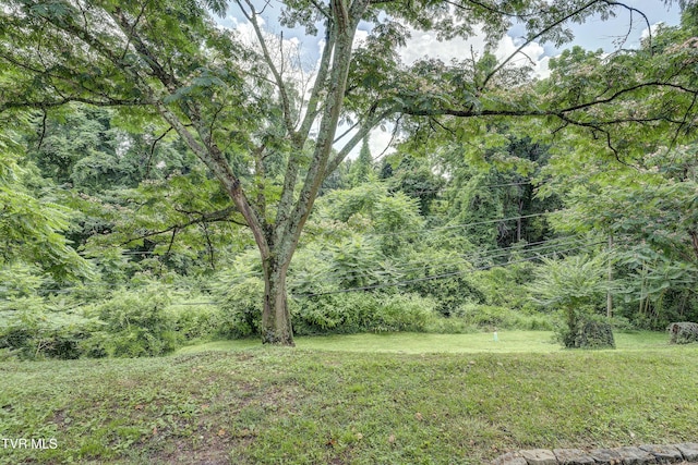 2 Longview Ln, Kingsport, TN 37660 - view of grassy yard featuring a forest view