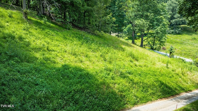 120 Wheelock Rd, Jonesborough, TN 37659