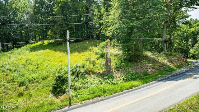 120 Wheelock Rd, Jonesborough, TN 37659