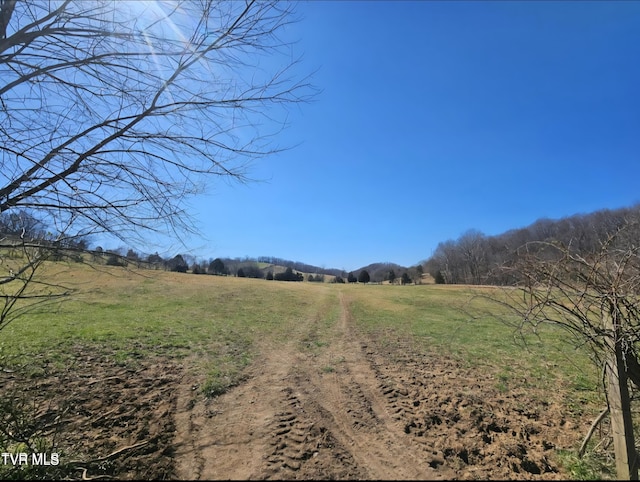 465 Clear Creek Rd, Chuckey, TN 37641 - photo 14