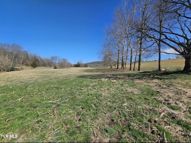 465 Clear Creek Rd, Chuckey, TN 37641 - photo 4