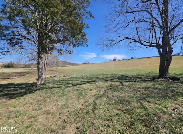 465 Clear Creek Rd, Chuckey, TN 37641 - photo 3