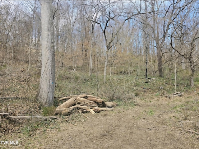 465 Clear Creek Rd, Chuckey, TN 37641 - photo 16