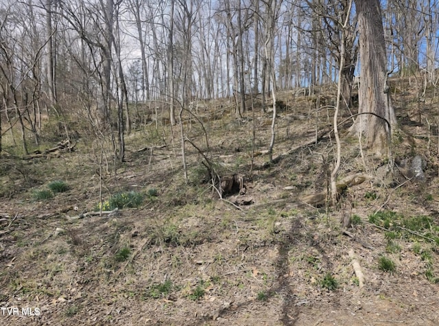 465 Clear Creek Rd, Chuckey, TN 37641 - photo 17