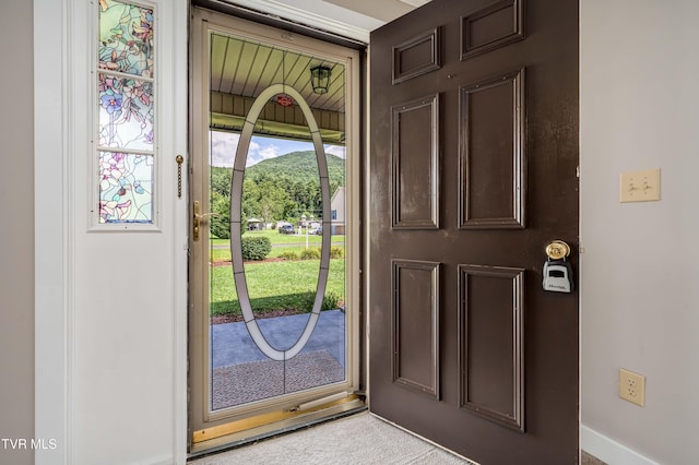157 Spring St, Hampton, TN 37658 - foyer featuring baseboards