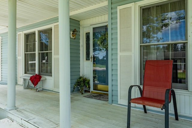 162 Bart Greene Dr, Gray, TN 37615 - photo 7