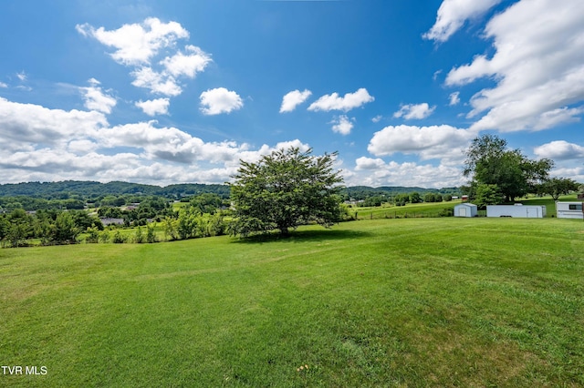 162 Bart Greene Dr, Gray, TN 37615 - photo 10