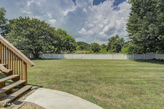 104 Mountain View Dr, Mount Carmel, TN 37645 - photo 38