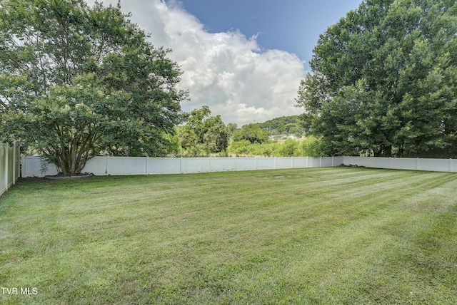 104 Mountain View Dr, Mount Carmel, TN 37645 - photo 3