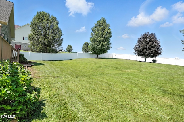 19029 Musick Dr, Bristol, VA 24202 - photo 55