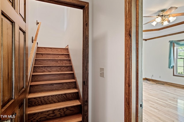 19029 Musick Dr, Bristol, VA 24202 - photo 38