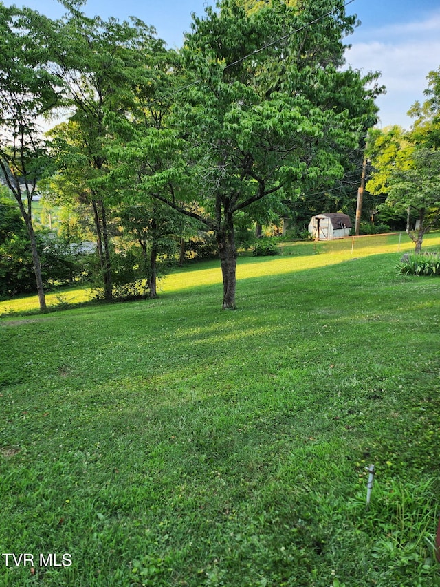 2020 Oakland St, Kingsport, TN 37660 - view of green lawn featuring a storage shed