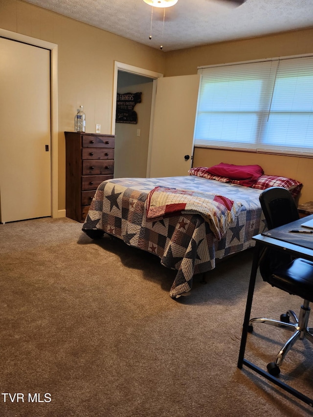 2020 Oakland St, Kingsport, TN 37660 - bedroom featuring multiple windows, carpet floors, and a textured ceiling