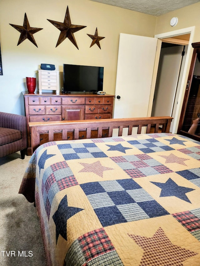 2020 Oakland St, Kingsport, TN 37660 - view of carpeted bedroom