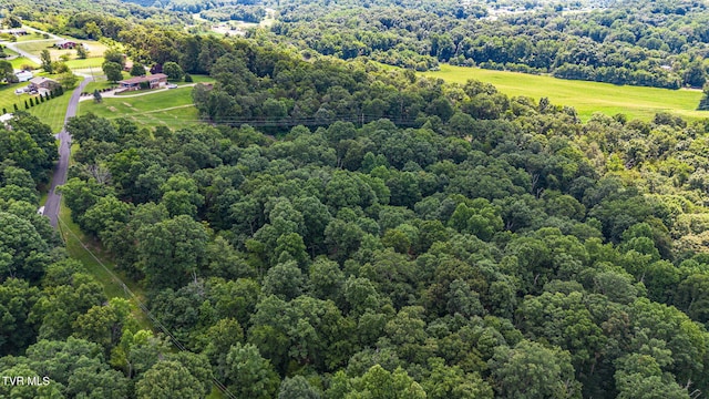 293 W Panoramic View Dr, Greeneville, TN 37743 - photo 2