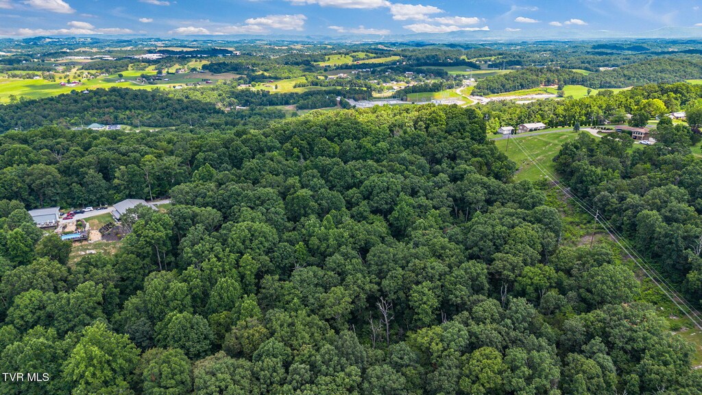 293 W Panoramic View Dr, Greeneville, TN 37743 - photo 1