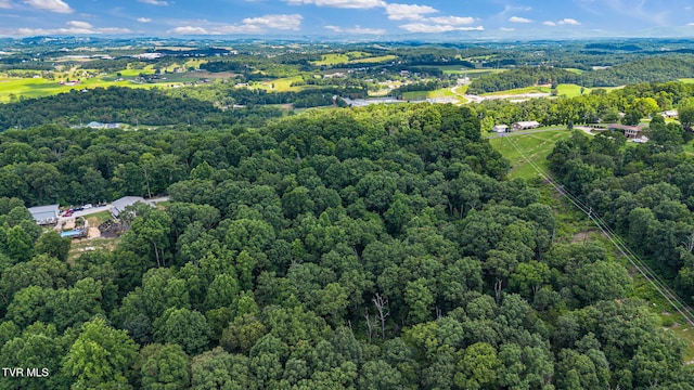 293 W Panoramic View Dr, Greeneville, TN 37743 - photo 1