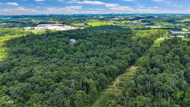 293 W Panoramic View Dr, Greeneville, TN 37743 - photo 3