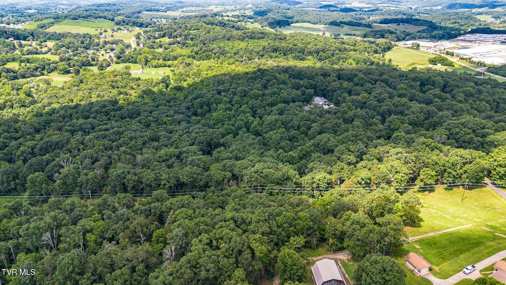 293 W Panoramic View Dr, Greeneville, TN 37743 - photo 4