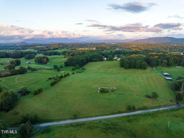 1120 Old Boones Creek Rd, Jonesborough, TN 37659 - photo 5