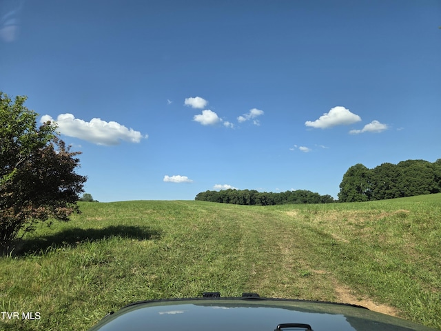 1120 Old Boones Creek Rd, Jonesborough, TN 37659 - photo 11