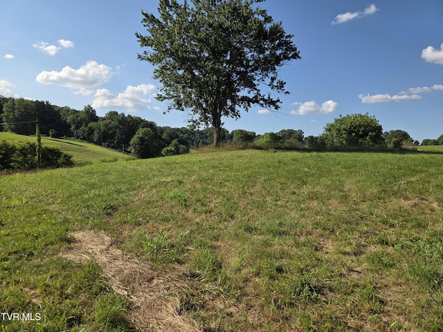 1120 Old Boones Creek Rd, Jonesborough, TN 37659 - photo 12