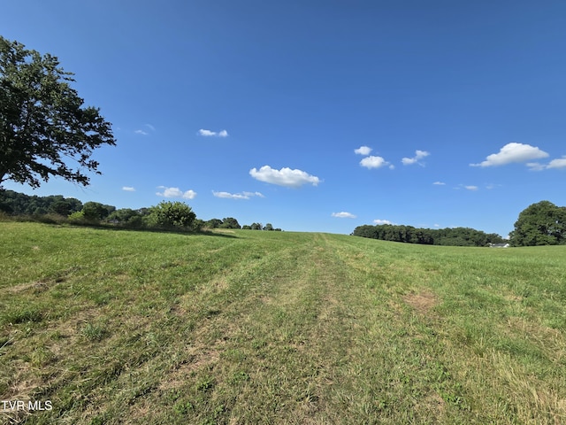 1120 Old Boones Creek Rd, Jonesborough, TN 37659 - photo 13