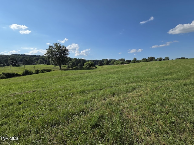 1120 Old Boones Creek Rd, Jonesborough, TN 37659 - photo 14