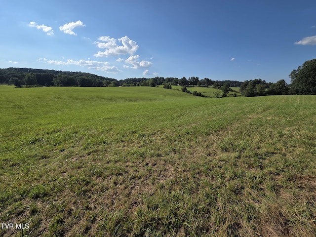 1120 Old Boones Creek Rd, Jonesborough, TN 37659 - photo 17